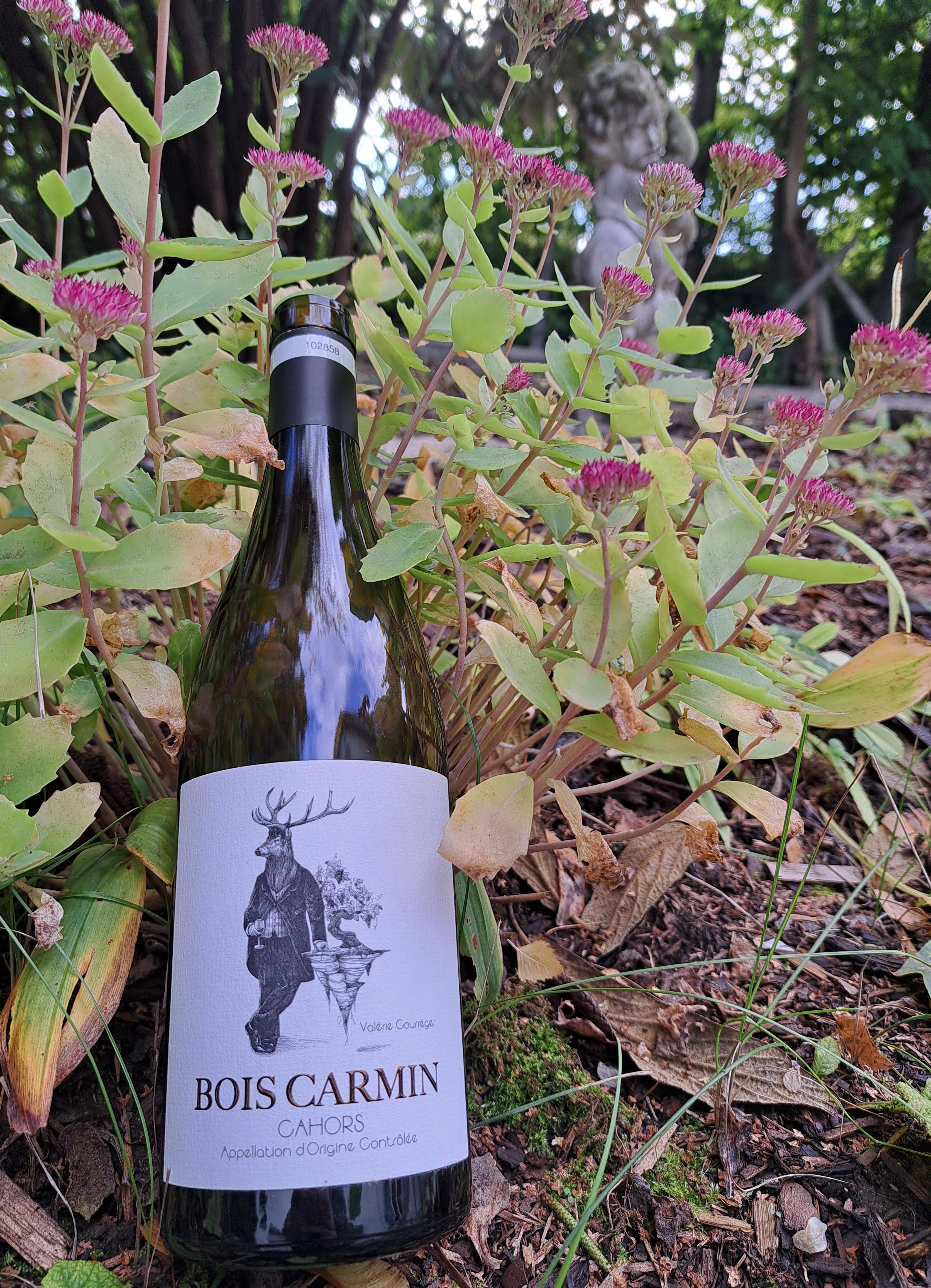 2019 Valérie Courrèges Bois Carmin