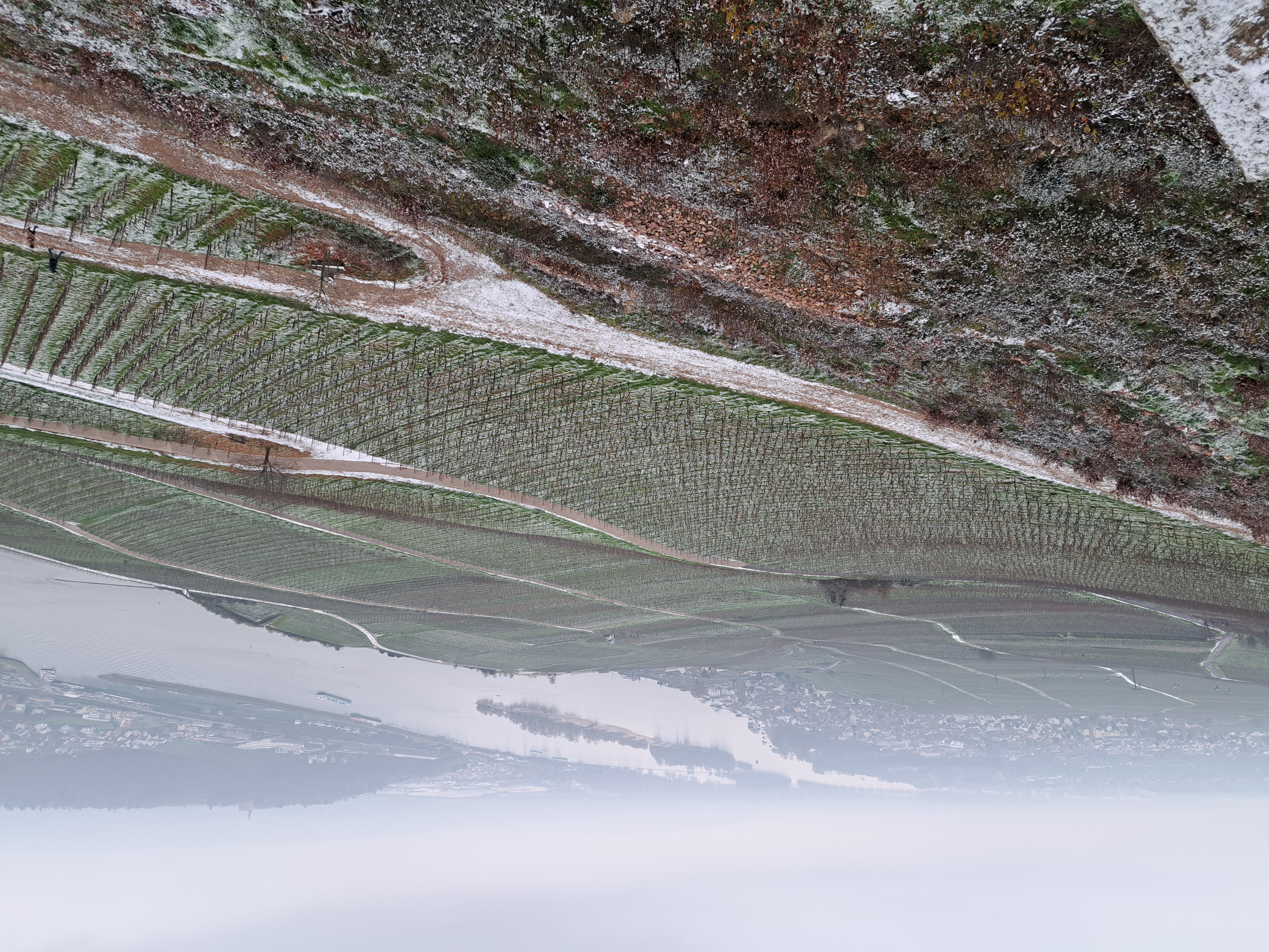 Winter view of the Rheingau