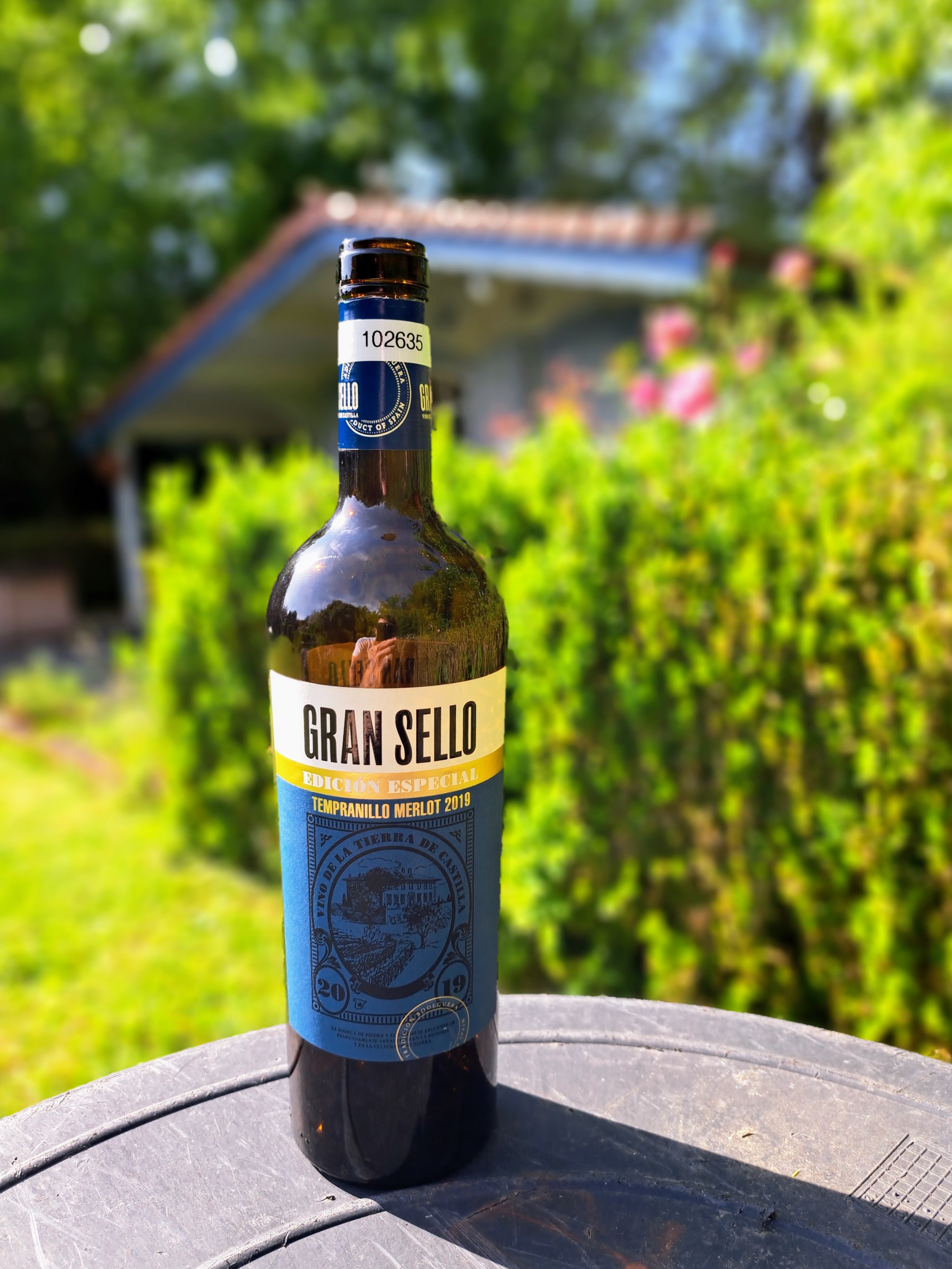 2019 Bodegas Gran Sello Vino de la Tierra de Castilla Edición Especial